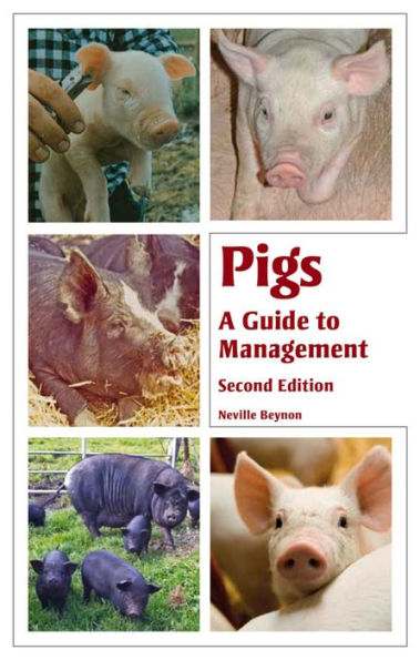 Pigs: A Guide to Management