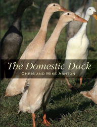 Title: Domestic Duck, Author: Mike Ashton