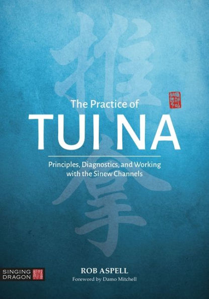 the Practice of Tui Na: Principles, Diagnostics and Working with Sinew Channels