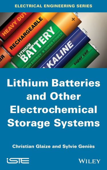 Lithium Batteries and other Electrochemical Storage Systems / Edition 1
