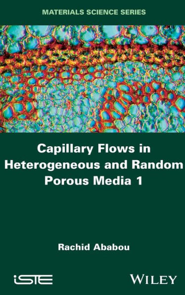 Capillary Flows in Heterogeneous and Random Porous Media / Edition 1