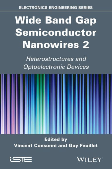 Wide Band Gap Semiconductor Nanowires 2: Heterostructures and Optoelectronic Devices / Edition 1