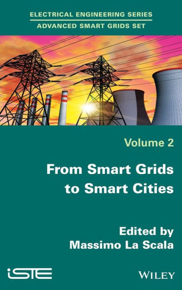 From Smart Grids to Smart Cities: New Challenges in Optimizing Energy Grids / Edition 1