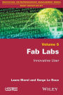 Fab Labs: Innovative User / Edition 1