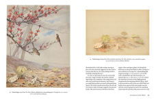 Alternative view 4 of Fidelia Bridges: Nature into Art
