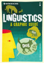 Introducing Linguistics: A Graphic Guide