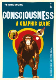 Title: Introducing Consciousness: A Graphic Guide, Author: David Papineau