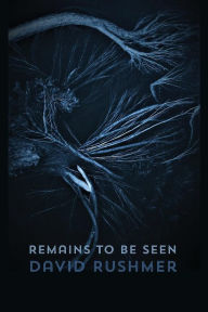 Title: Remains to Be Seen, Author: David Rushmer