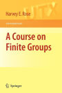 A Course on Finite Groups / Edition 1