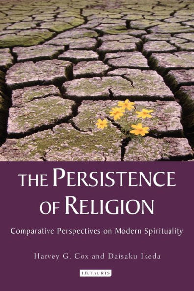 The Persistence of Religion: Comparative Perspectives on Modern Spirituality