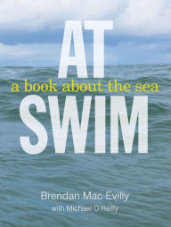 Title: At Swim: A Book About the Sea, Author: Brendan MacEvilly