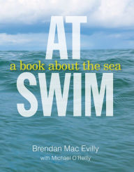 Title: At Swim, Author: Brendan Mac Evilly
