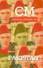 Critical Muslim 4: Pakistan