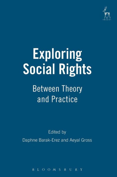 Exploring Social Rights: Between Theory and Practice