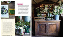 Alternative view 5 of Selina Lake: Garden Style: Inspirational Styling for your Outside Space