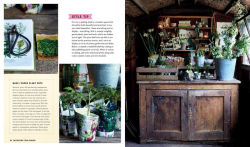 Alternative view 8 of Selina Lake: Garden Style: Inspirational Styling for your Outside Space