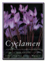 Cyclamen