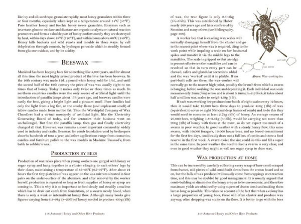 Beekeeping - A Seasonal Guide