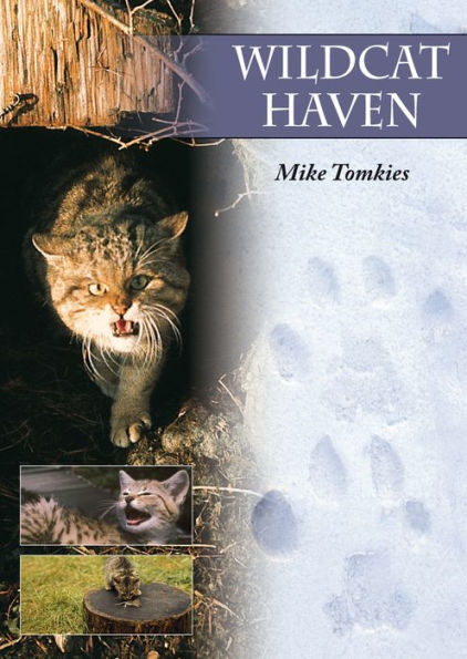 Wildcat Haven