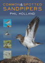 Common & Spotted Sandpipers