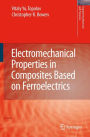 Electromechanical Properties in Composites Based on Ferroelectrics / Edition 1