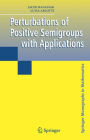 Perturbations of Positive Semigroups with Applications / Edition 1