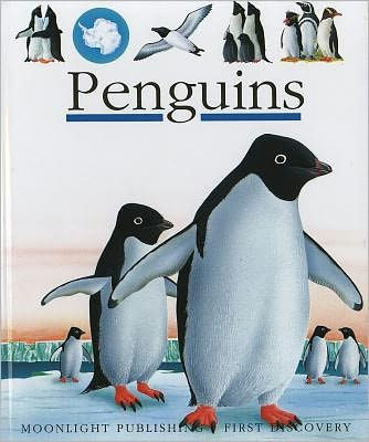 Penguins (Scholastic First Discovery Series) by Rene Mettler, Paperback ...