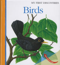 Title: Birds, Author: Rene Mettler