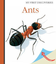 Title: Ants, Author: Rene Mettler