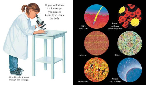 Inside the Body