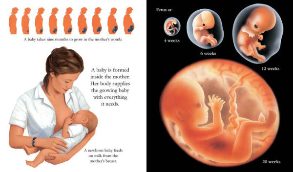Inside the Body