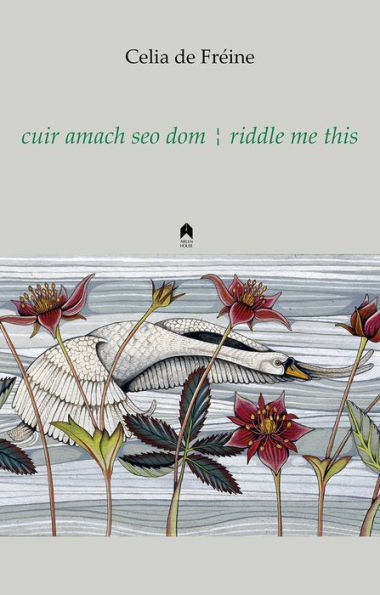 cuir amach seo dom / riddle me this