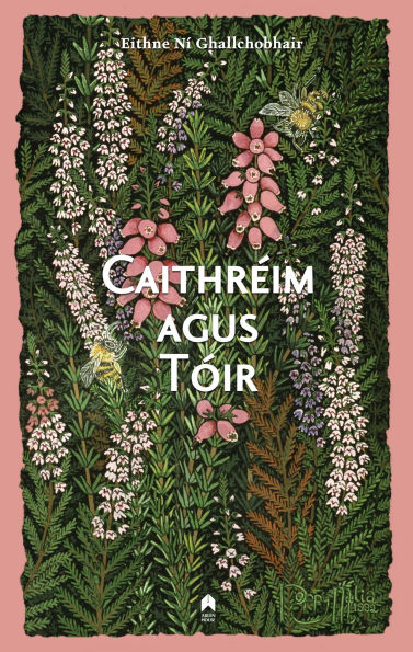 Caithreim Agus Toir
