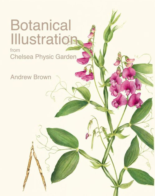 Botanical Illustration from Chelsea Physic Garden by Andrew Brown ...