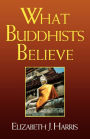 What Buddhists Believe