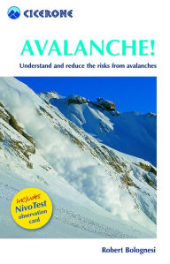 Title: Avalanche!: Assess and reduce risks from Avalanches, Author: Robert Bolognesi