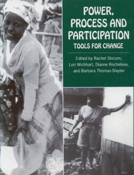 Power, Process and Participation: Tools for Change / Edition 1