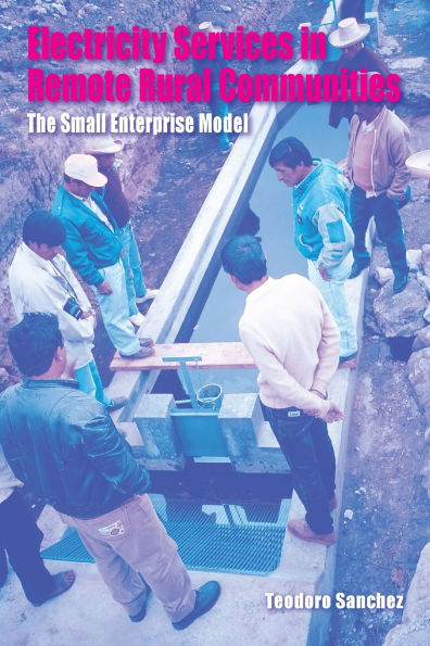 Electricity Services in Remote Rural Communities: The Small Enterprise Model