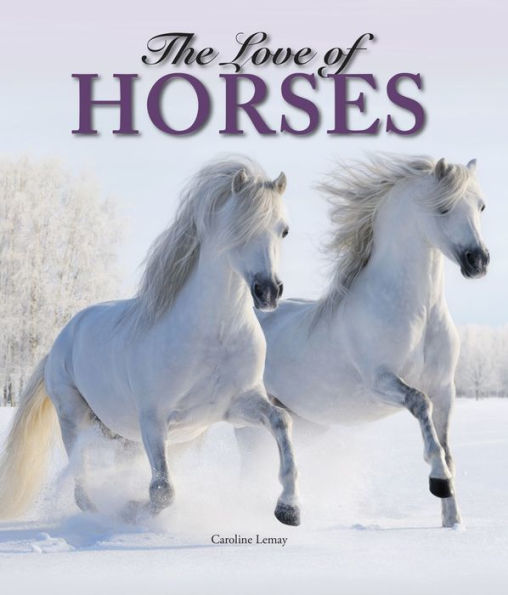 The Love of Horses
