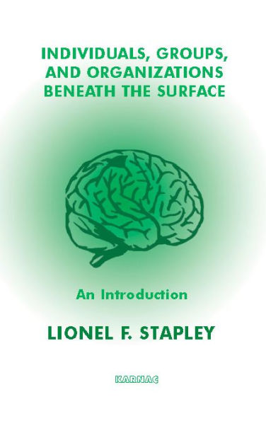 Individuals, Groups and Organizations Beneath the Surface: An Introduction / Edition 1