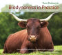 Biodynamics in Practice: Life on a Community Owned Farm: Impressions of Tablehurst and Plaw Hatch, Sussex, England