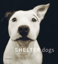 Title: Shelter Dogs, Author: Traer Scott