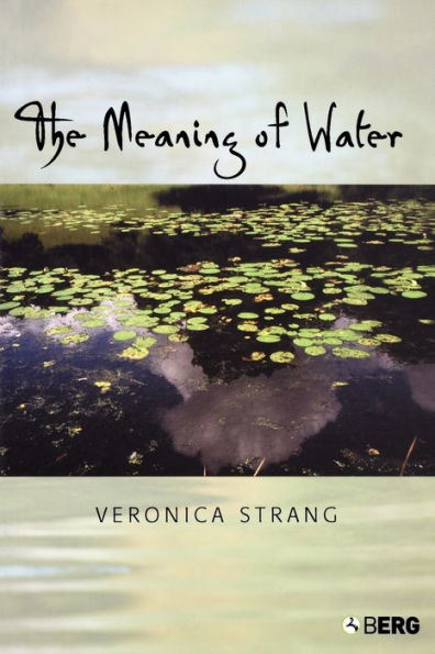 The Meaning of Water / Edition 1