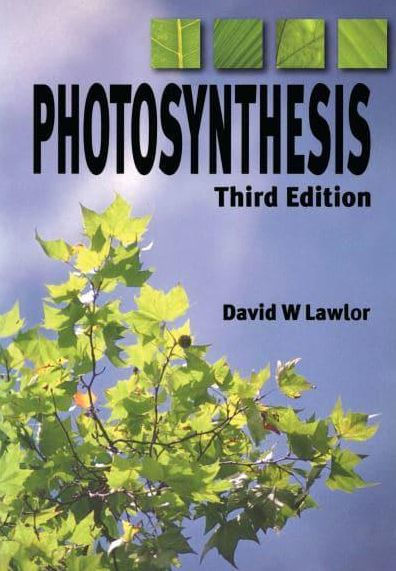 Photosynthesis