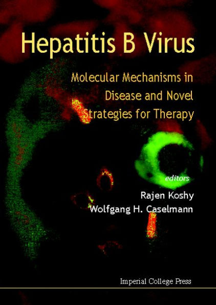 Hepatitis B Virus: Molecular Mechanisms in Disease and Novel Strategies for Therapy / Edition 1