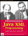 Professional Java XML Programming with Servlets and JSP