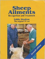 Sheep Ailments: Recognition and Treatment