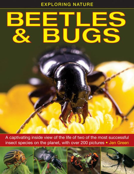 Beetles & Bugs: A Captivating Inside View Of The Life Of Two Of The ...