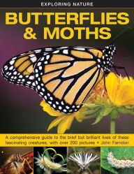 Title: Butterflies & Moths: A Comprehensive Guide To The Brief But Brilliant Lives Of These Fascinating Creatures, With Over 200 Pictures, Author: John Farndon
