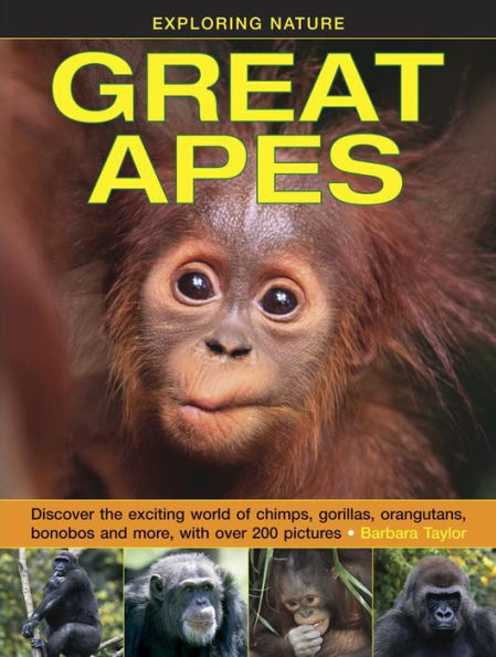 Great Apes: Discover the exciting world of chimps, gorillas, orangutans, bonobos and more, with over 200 pictures